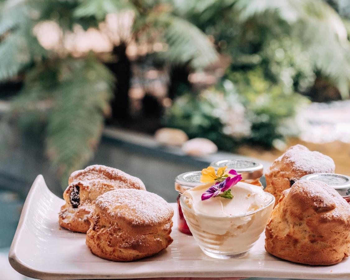 桑德森酒店 伦敦 外观 照片 Scones with jam and clotted cream